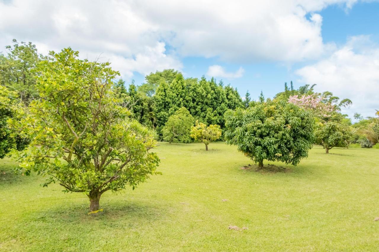 Pahoa Off-Grid Getaway With Ocean Views In Paradise מראה חיצוני תמונה