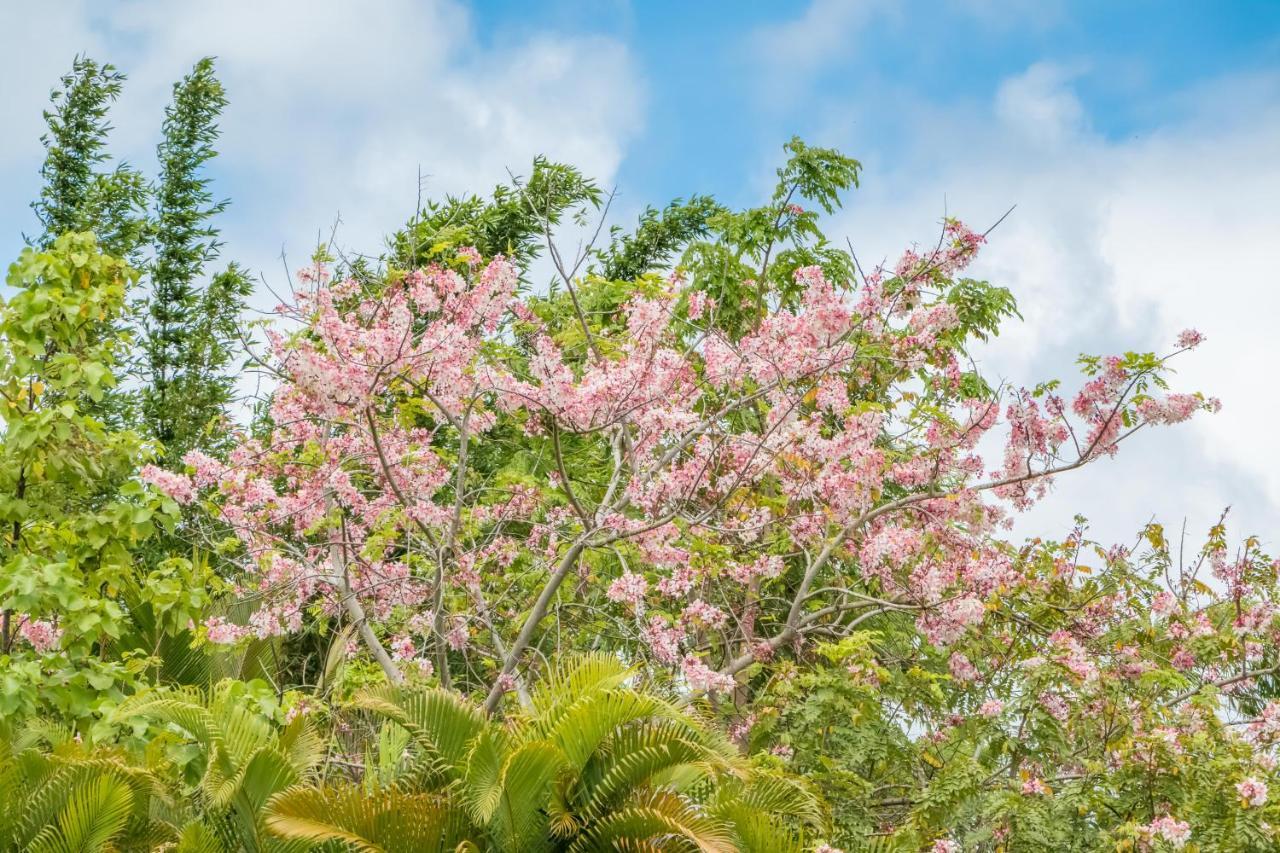 Pahoa Off-Grid Getaway With Ocean Views In Paradise מראה חיצוני תמונה