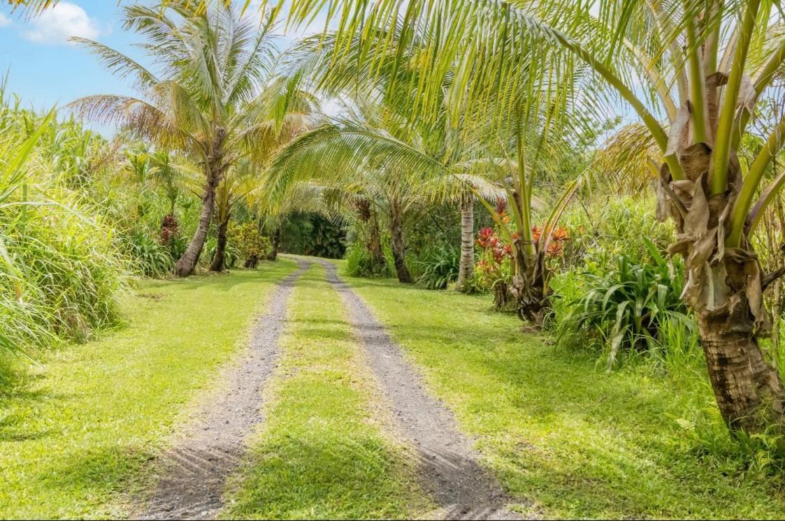 Pahoa Off-Grid Getaway With Ocean Views In Paradise מראה חיצוני תמונה